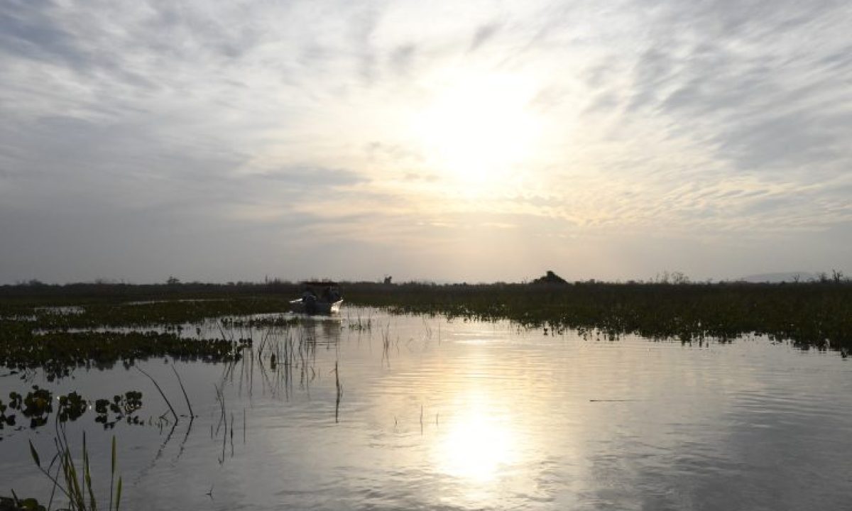 Pantanal-Tempo-Foto-Bruno-Rezende-730x480