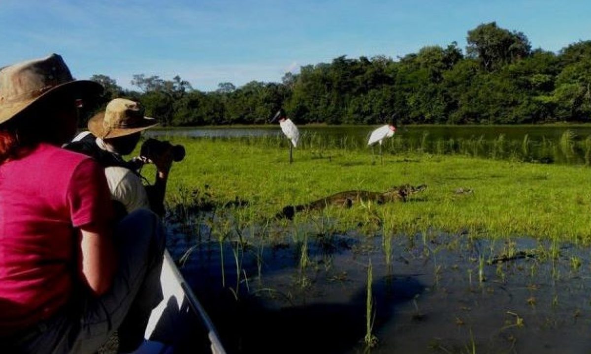 Pantanal-de-Corumba-Safari-fluvial_acervo-Assessoria-Prefeitura-de-Corumba-1-640x372-1