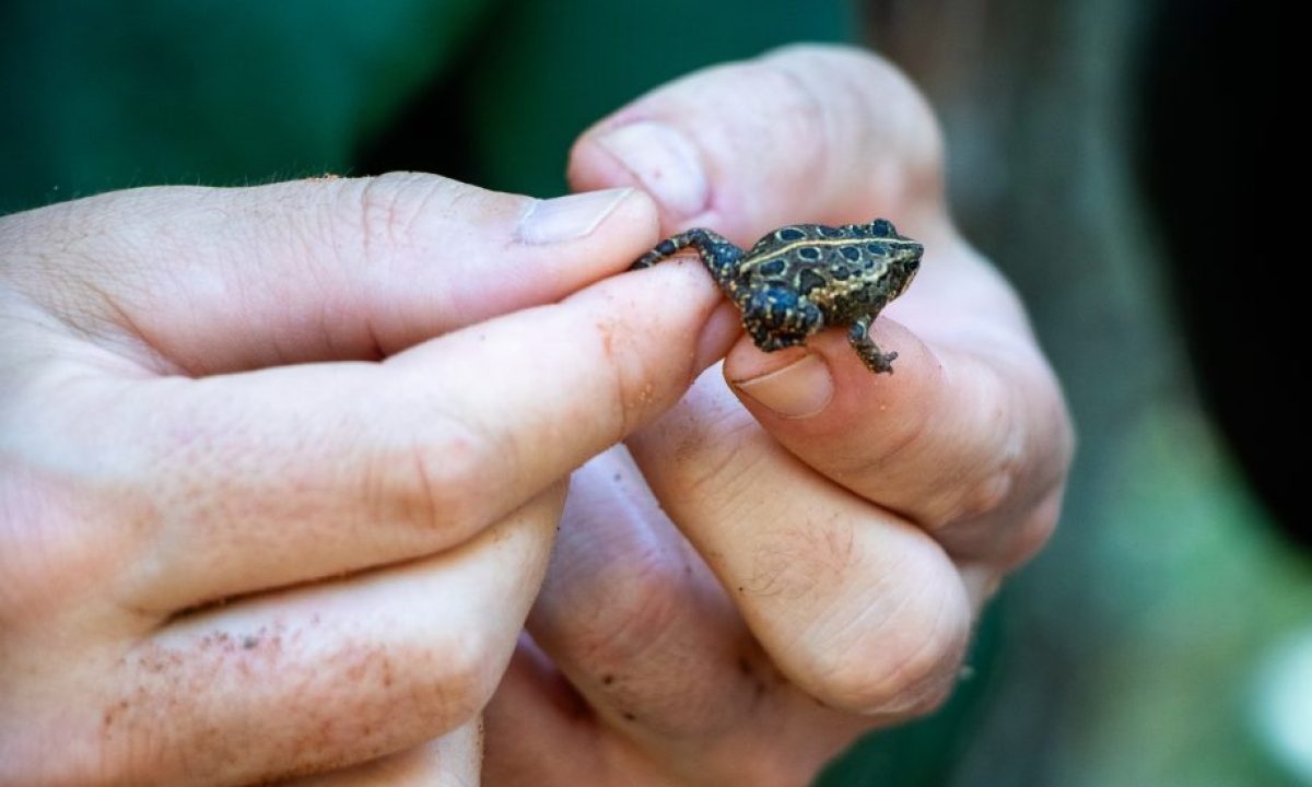 ParqueDoPombo0102-9-scaled