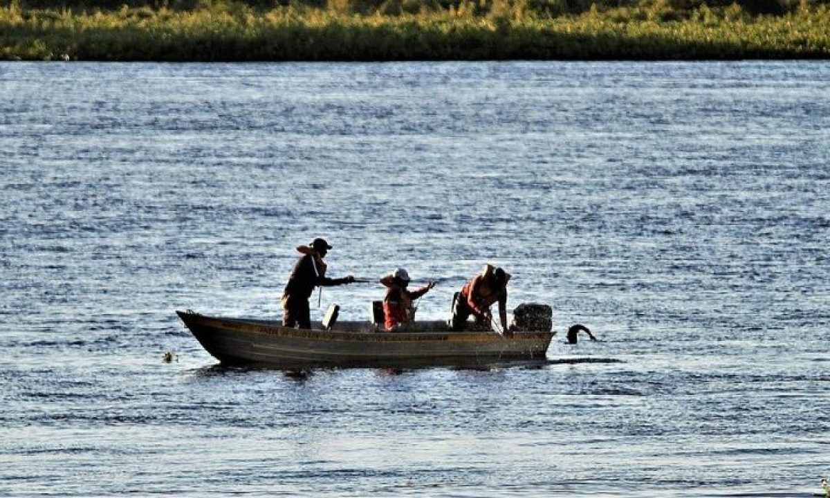 Pesca-Foto-Saul-Schramm-768x425-730x425