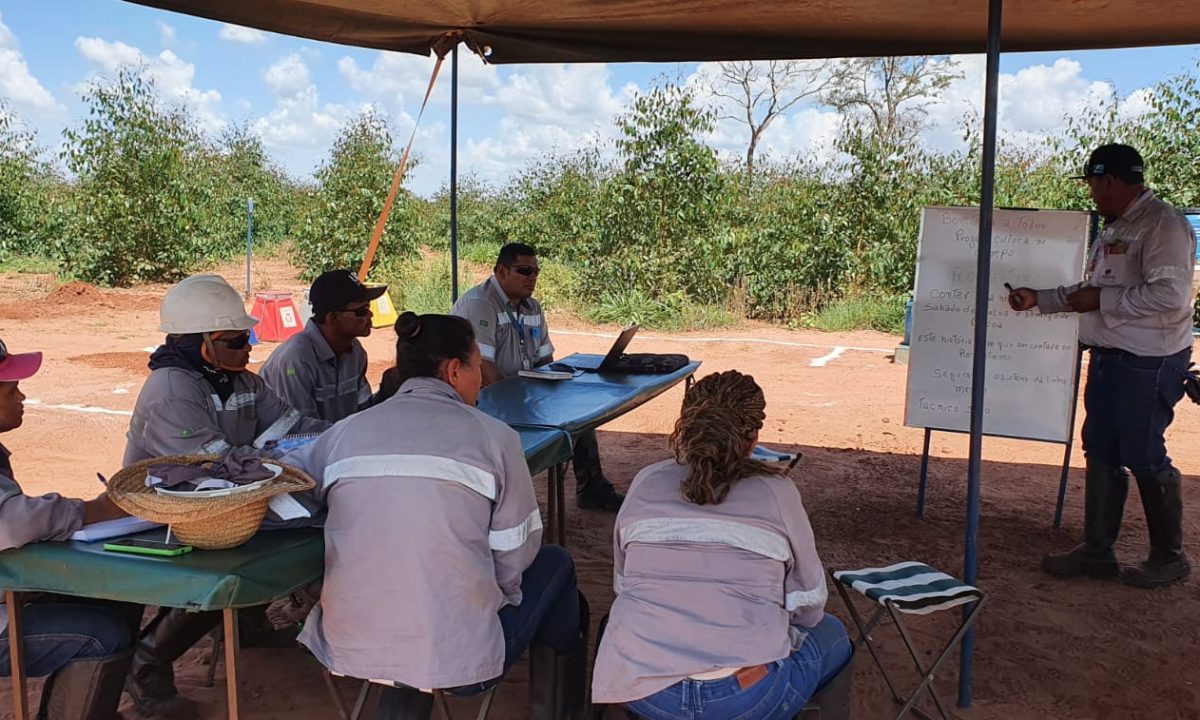 Projeto Leitura no Campo_Suzano_TL (8)