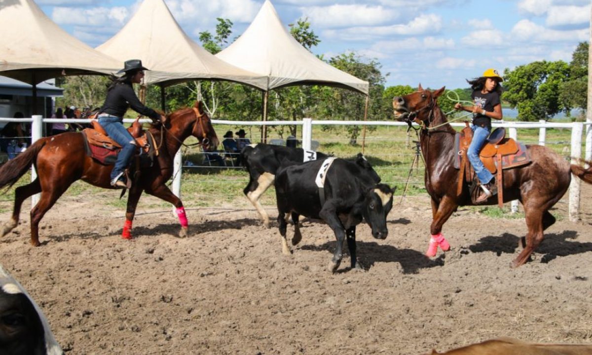 RANCH-SORTING-REBUCCI-29.03-10-scaled
