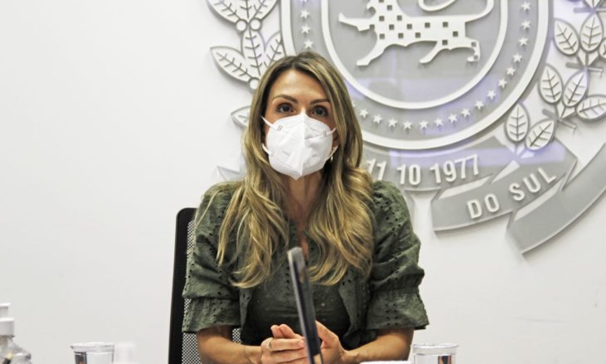 Reuniao-CONLEG-Ana-Carolina-Ali-Garcia-Foto-Saul-Schramm-1-730x480