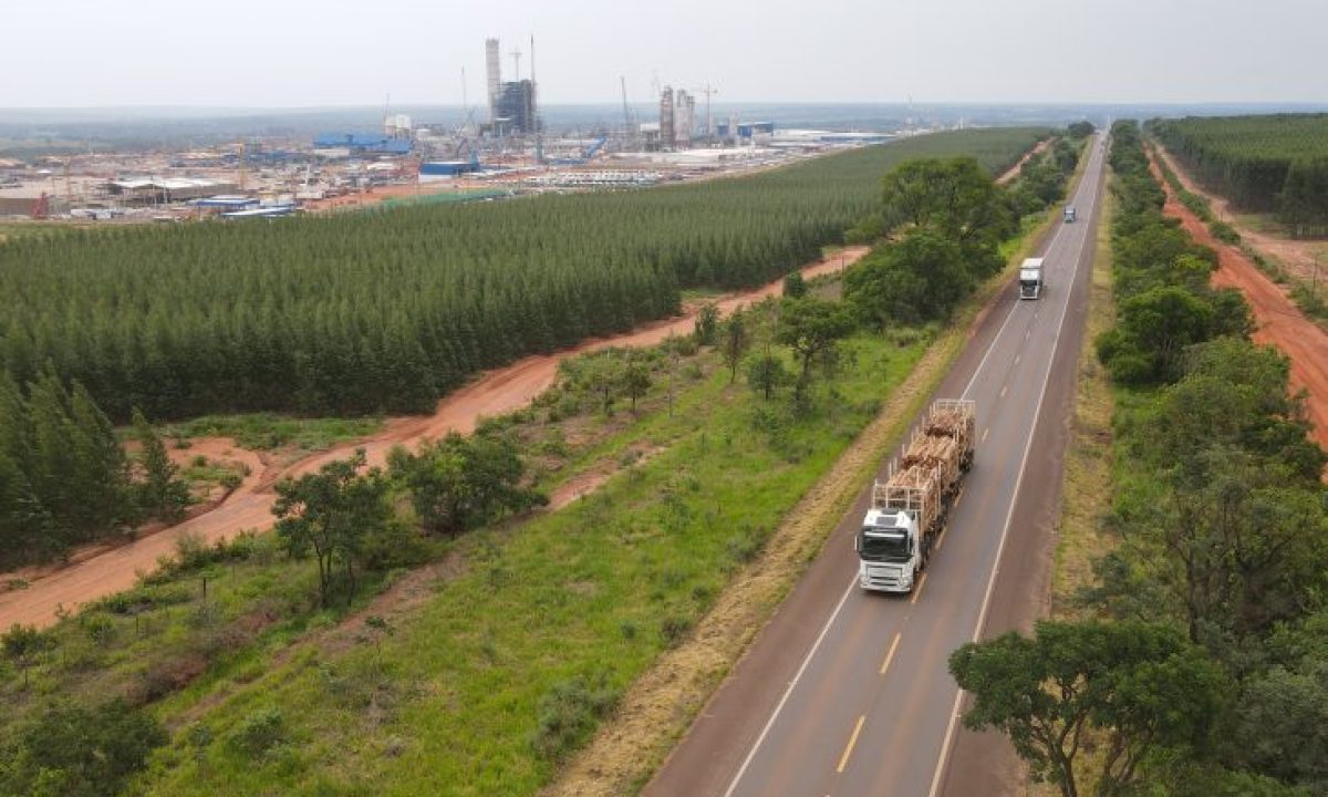 Ribas-BR-262-Foto-Edemir-Rodrigues-1-730x480