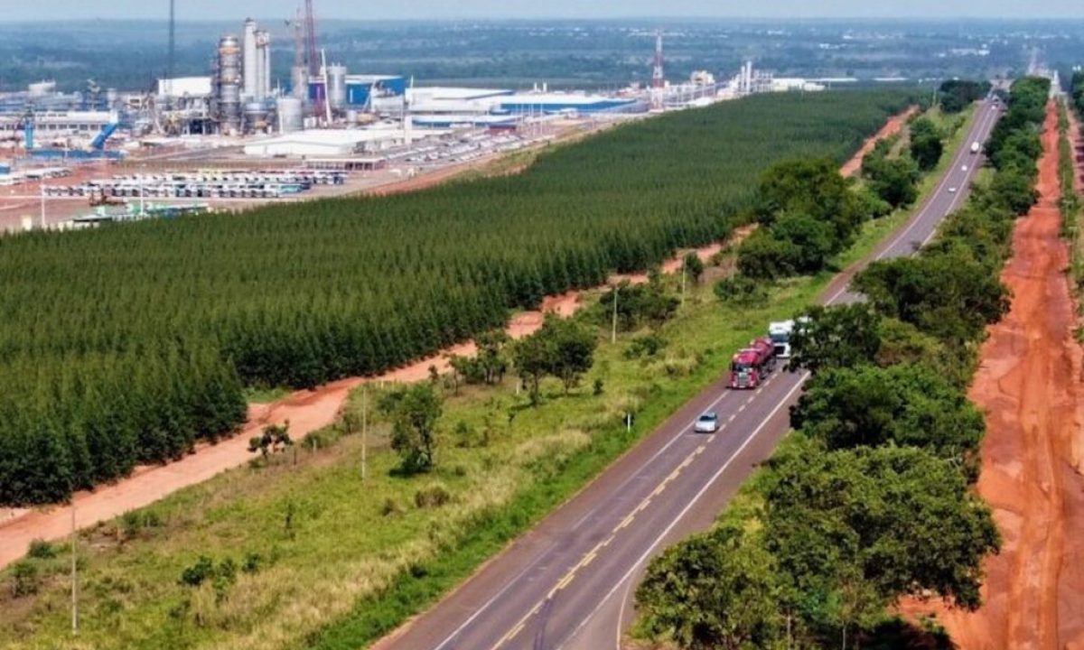 Rota-da-Celulose-BR-262-Foto-Saul-Schramm-Governo-MS-1024x674