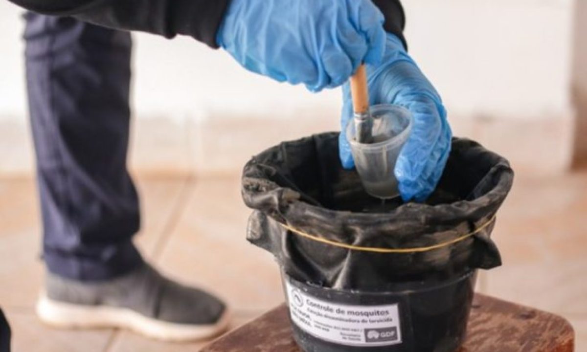 Saude-2-e1741987791922-730x480