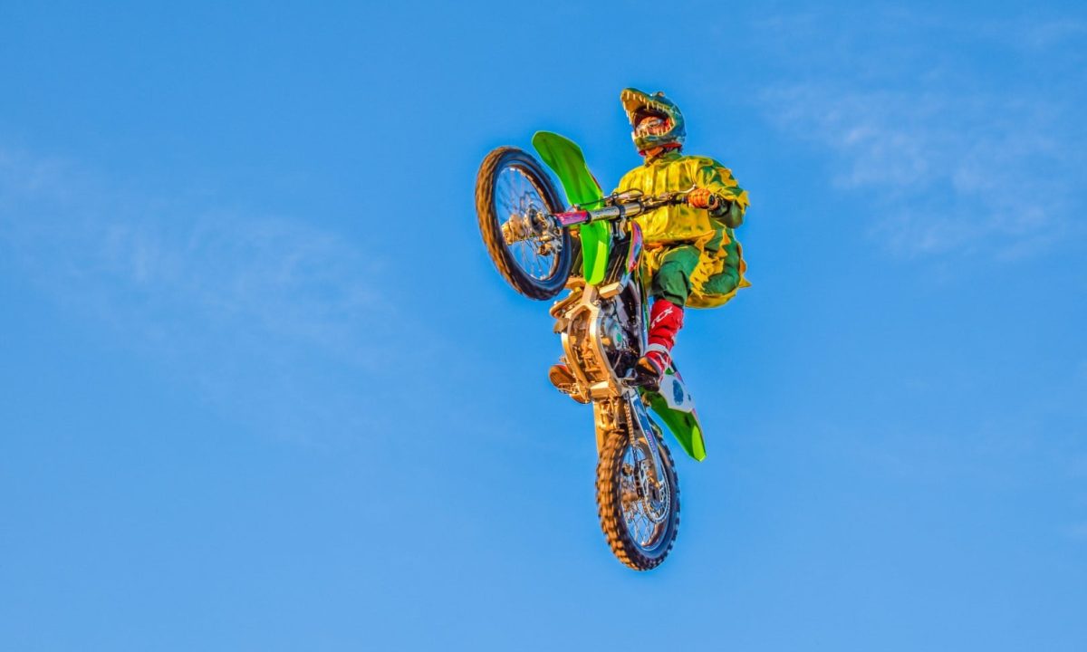 Show-Jacare-du-Brejo