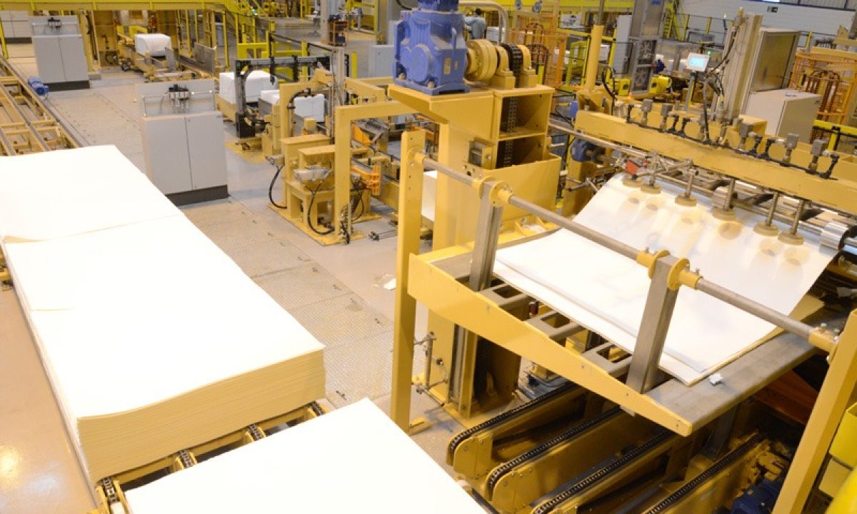 Suzano produção (1)