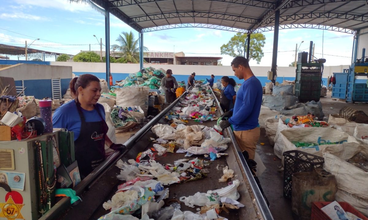 Suzano_Cooperativa Arara Azul (4)