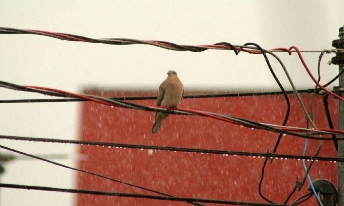 Tempo-Chuvoso-Foto-Edemir-Rodrigues-768x425-730x425-730x425