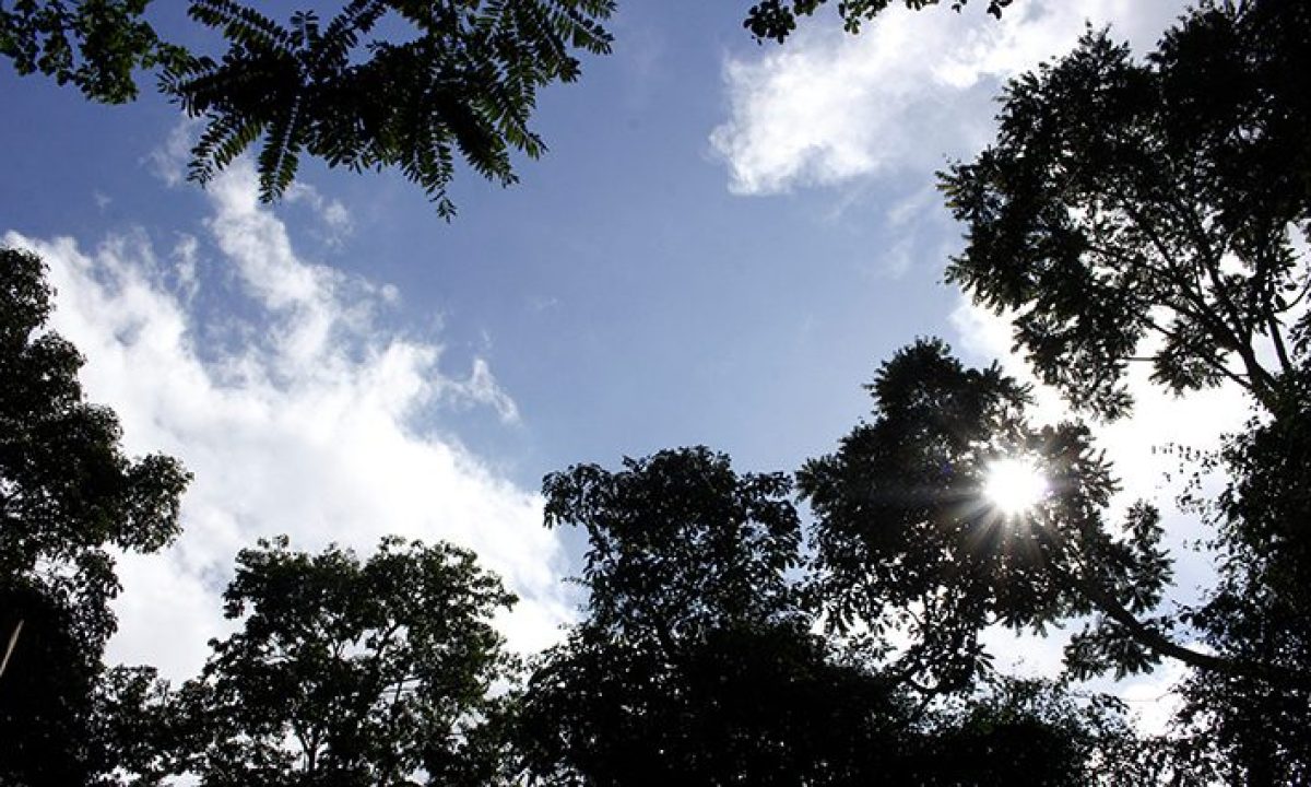 Tempo-Clima-Fto-Chico-Ribeiro-1-730x425 (2)