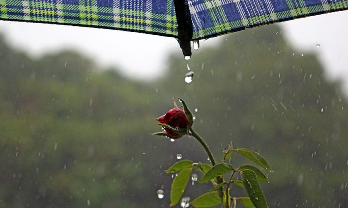 Tempo-Clima-Fto-Chico-Ribeiro-14-730x425