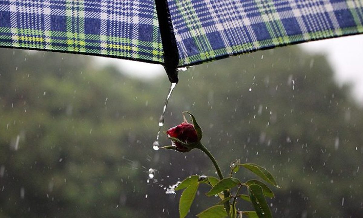 Tempo-Clima-Fto-Chico-Ribeiro-17-730x425