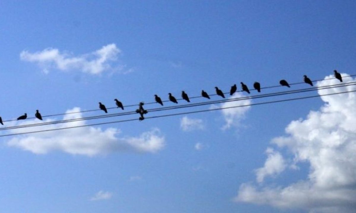 Tempo-Clima-Fto-Chico-Ribeiro-768x425-1-730x425