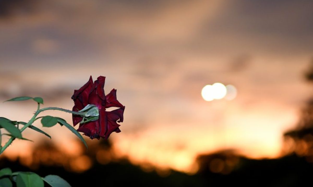 Tempo-Foto-Bruno-Rezende-730x480