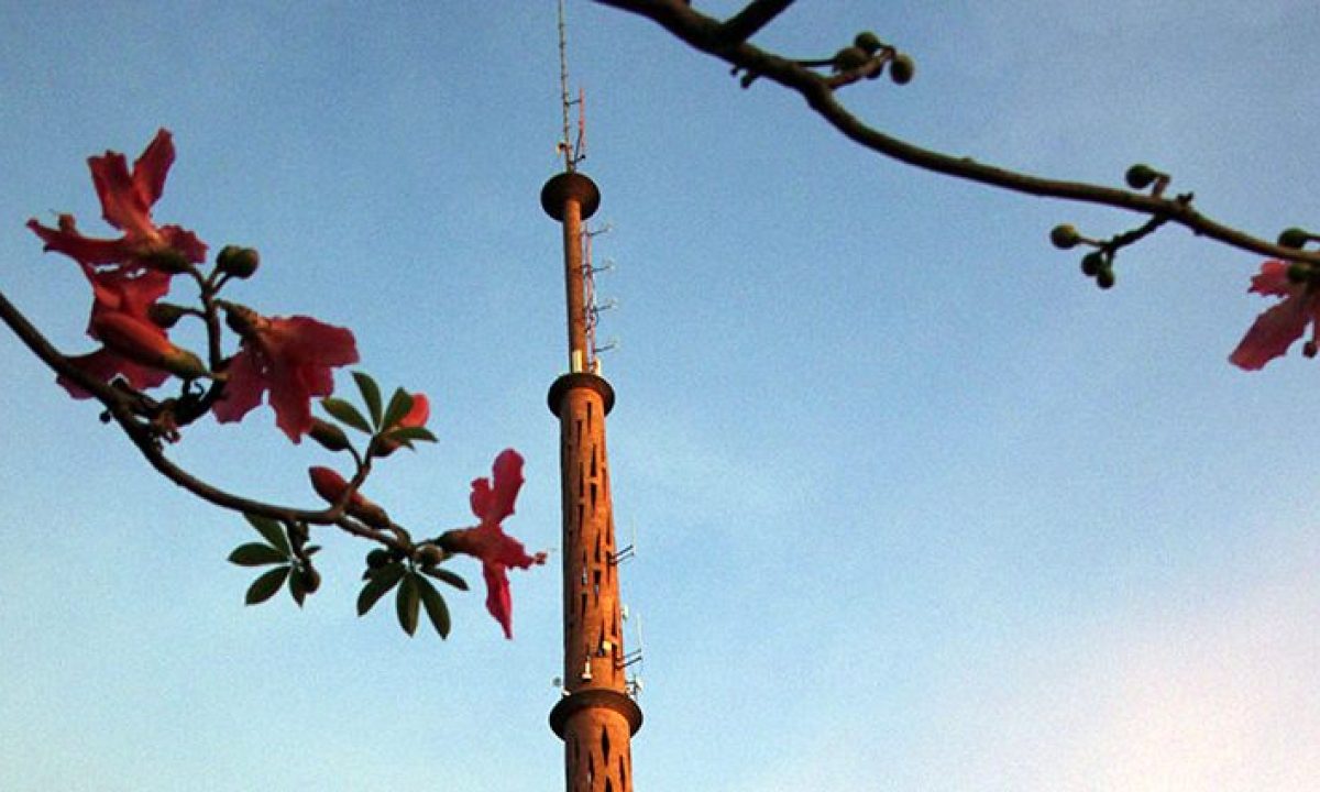 Tempo-Foto-Chico-Ribeiro-2-730x425