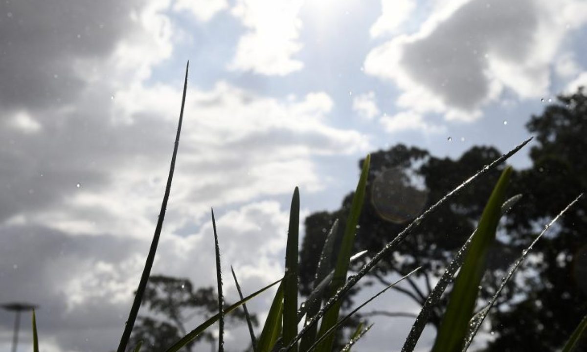 Tempo-Fto-Bruno-Rezende-01-730x480-2