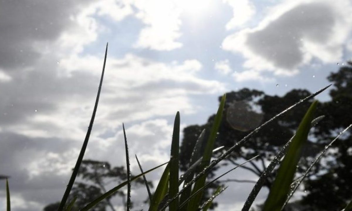 Tempo-Fto-Bruno-Rezende-01-768x425-1-730x425