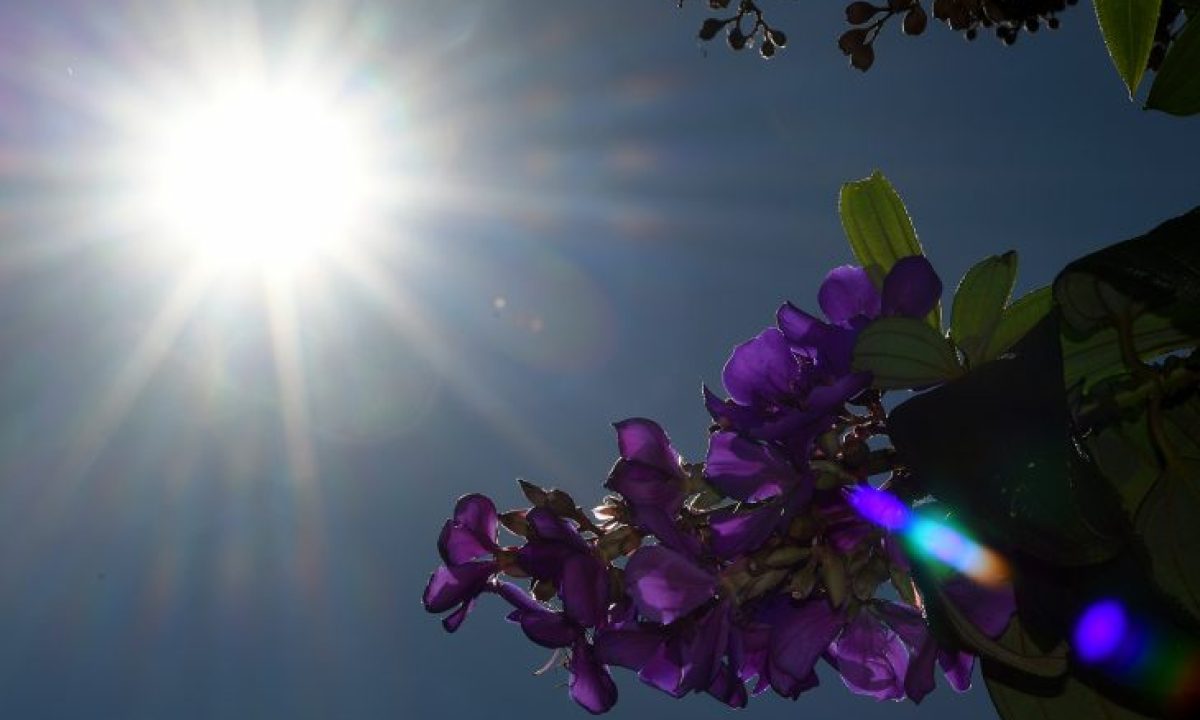 Tempo-Fto-Bruno-Rezende-02-1-730x480 (1)