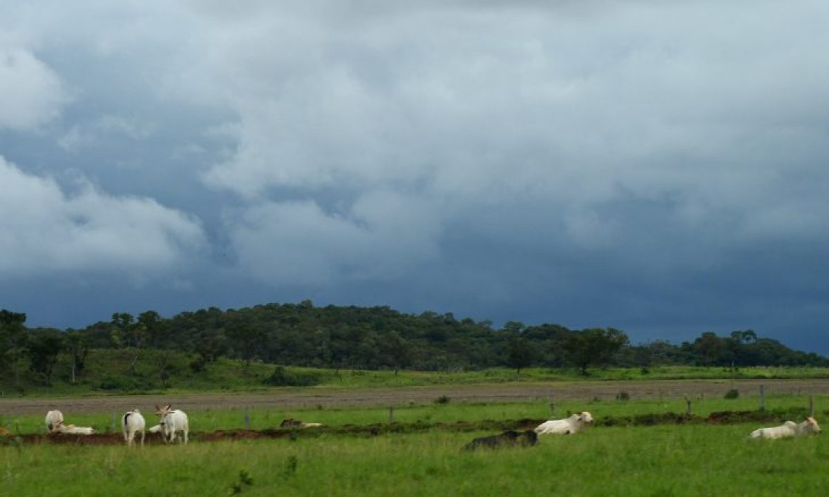 Tempo-Fto-Bruno-Rezende-03-730x480