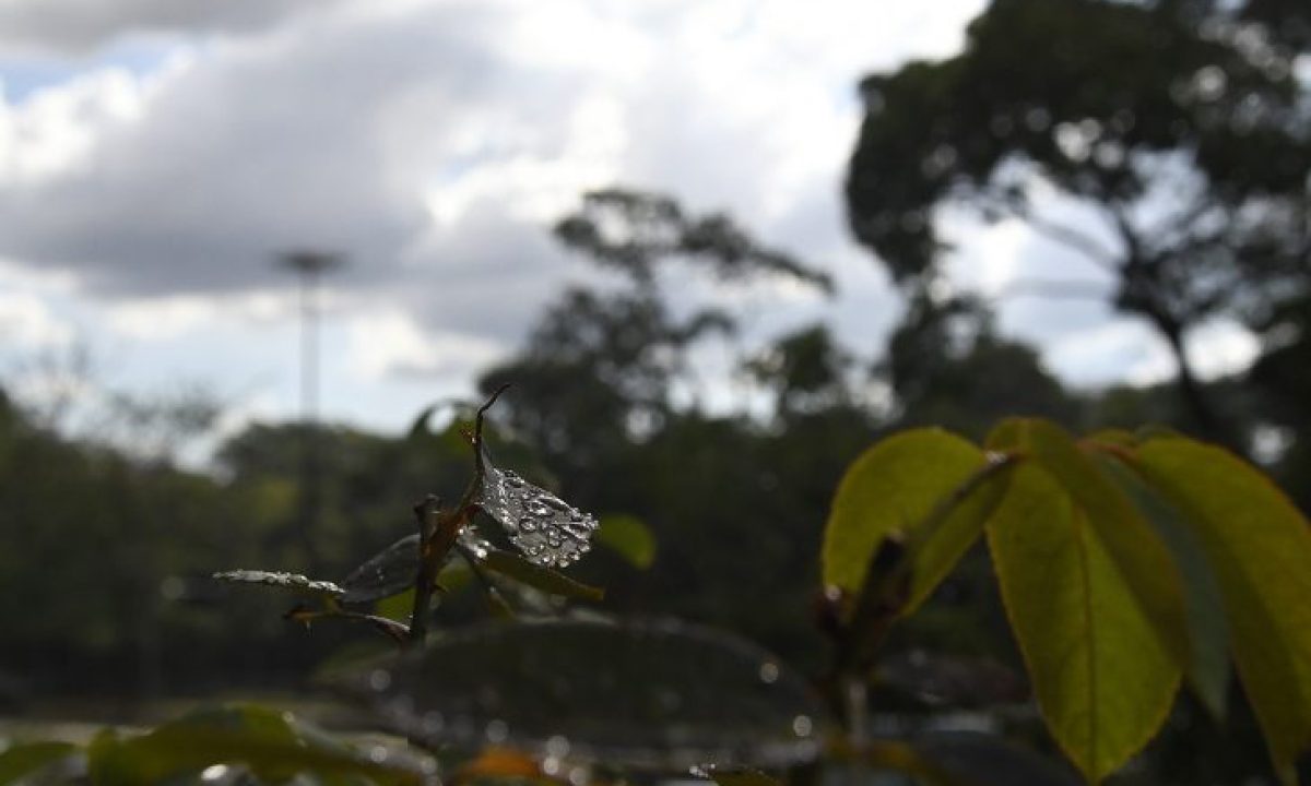 Tempo-Fto-Bruno-Rezende-04-730x480