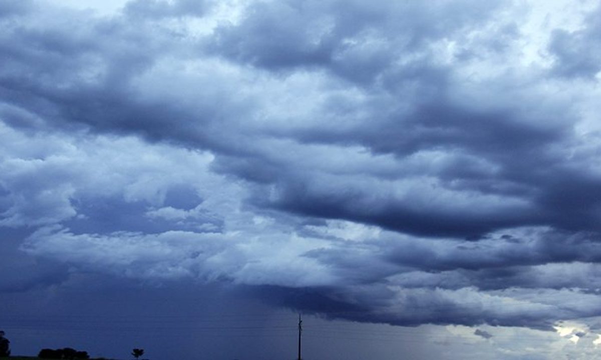 Tempo-Fto-Chico-Ribeiro-2-730x425-1