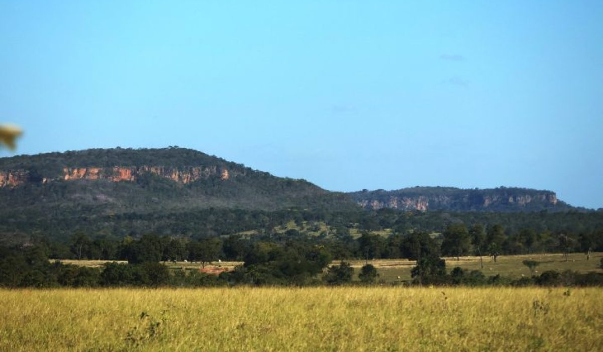 Tempo-Seco-Calor-Rio-Negro-Foto-Alvaro-Rezende-730x480 (1)