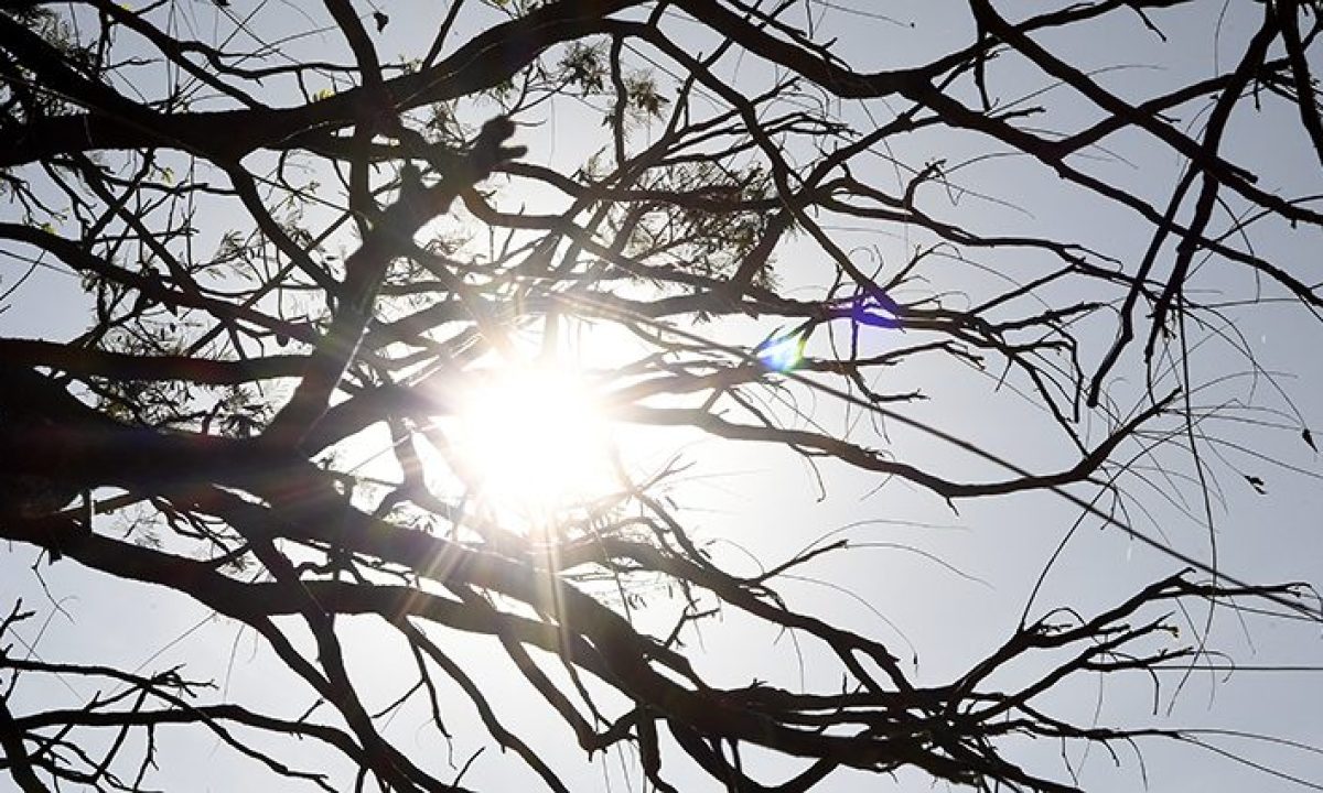 Tempo-Seco-Fto-Bruno-Rezende-730x425