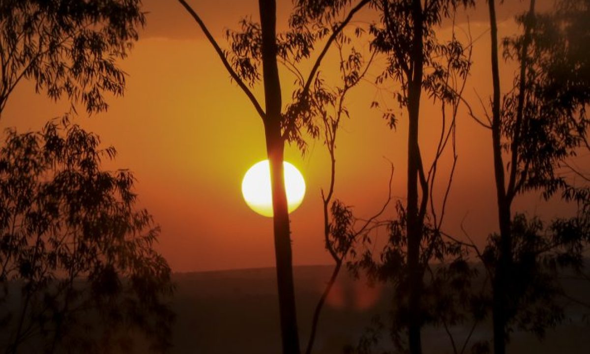 Tempo-Sol-Foto-Edemir-Rodrigues-1-730x480