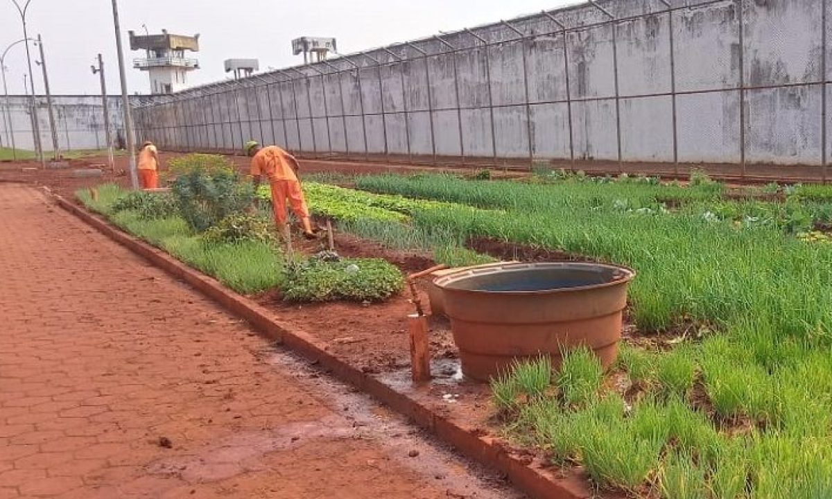 Trabalho-Presos-730x425