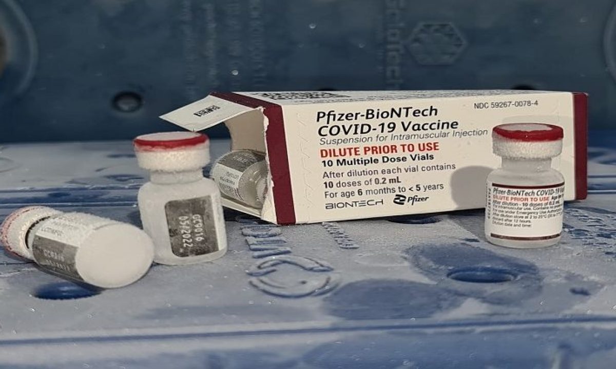 Vacina-Pfizer-Covid-730x425