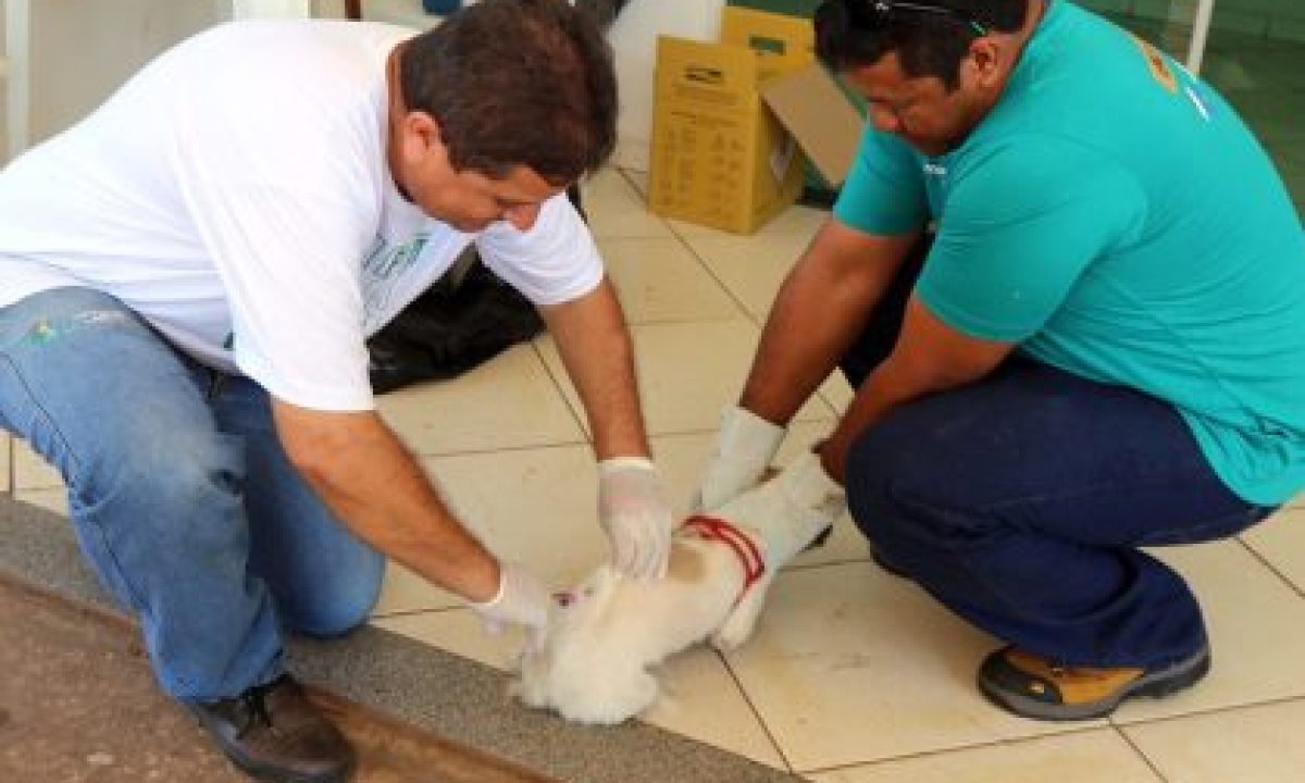 Vacinacao-A-60-420x280_c