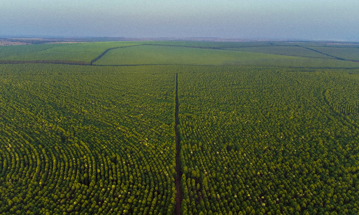 Vagas para motorista