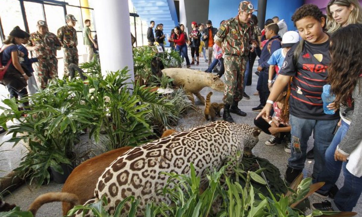 Visita-de-alunos-de-Rio-Brilhante-ao-Bioparque-Pantanal-Foto-Edemir-Rodrigues-25-730x480