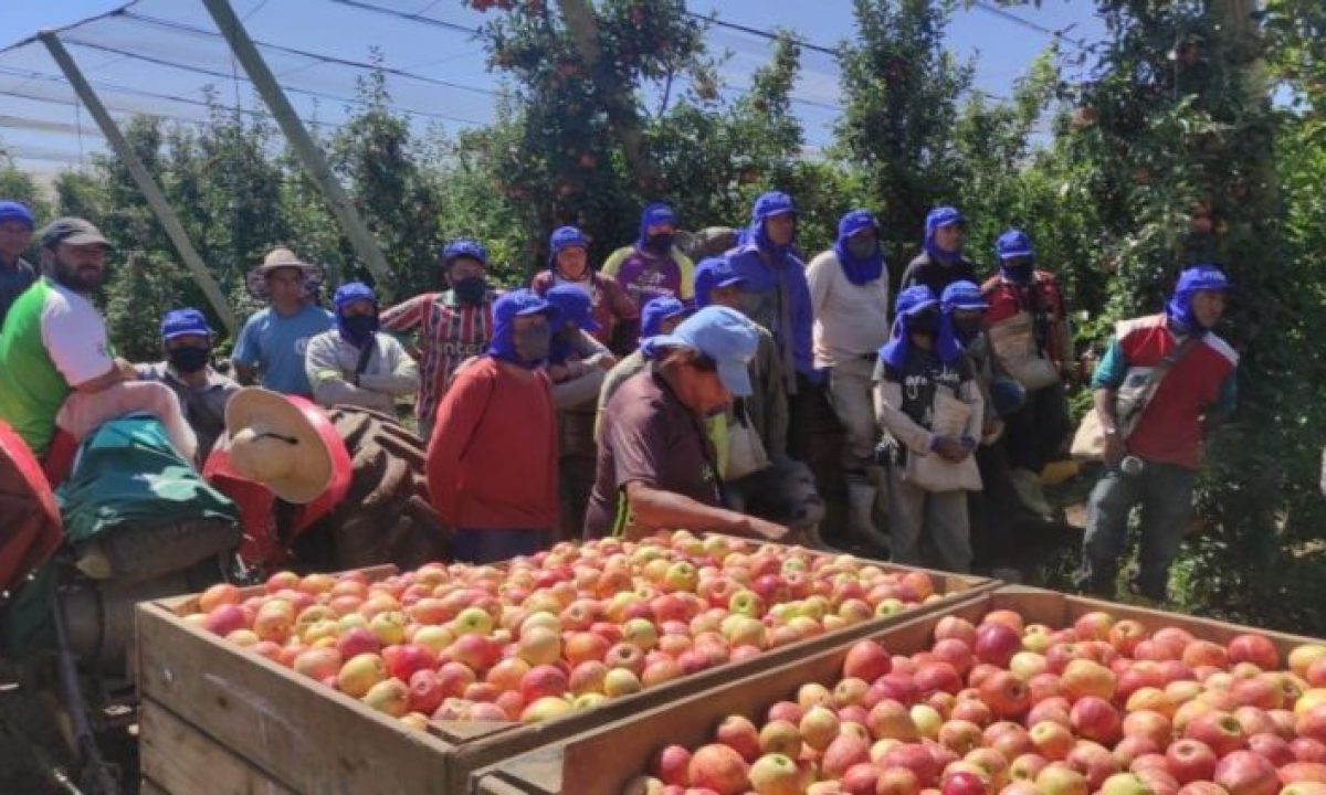 WhatsApp-Image-2022-03-08-at-09.41.44-730x425