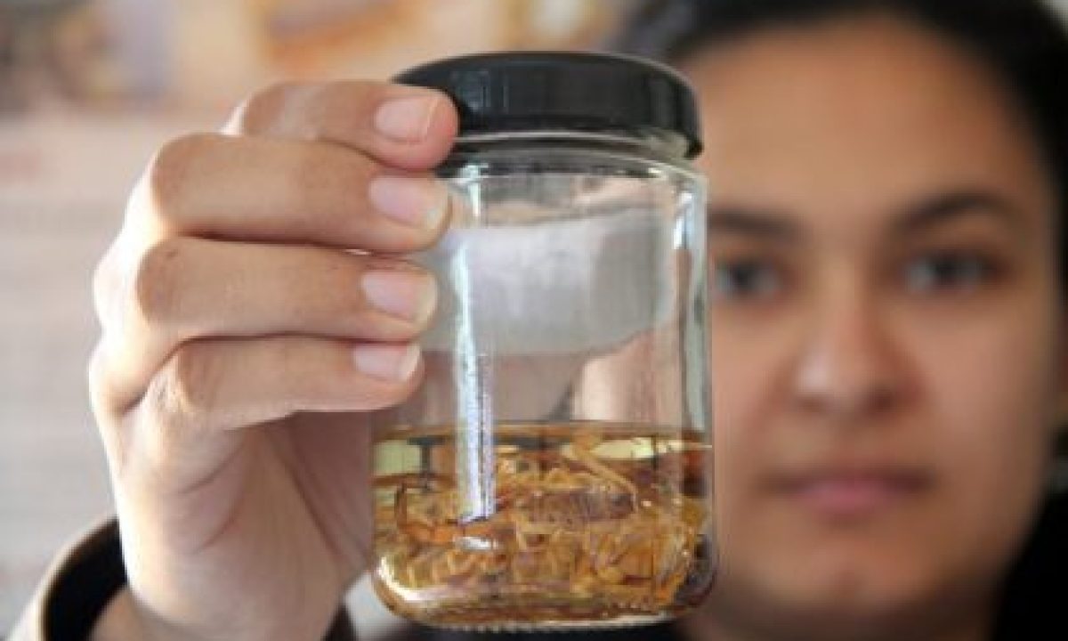 WhatsApp-Image-2022-05-04-at-15.24.39-420x280_c