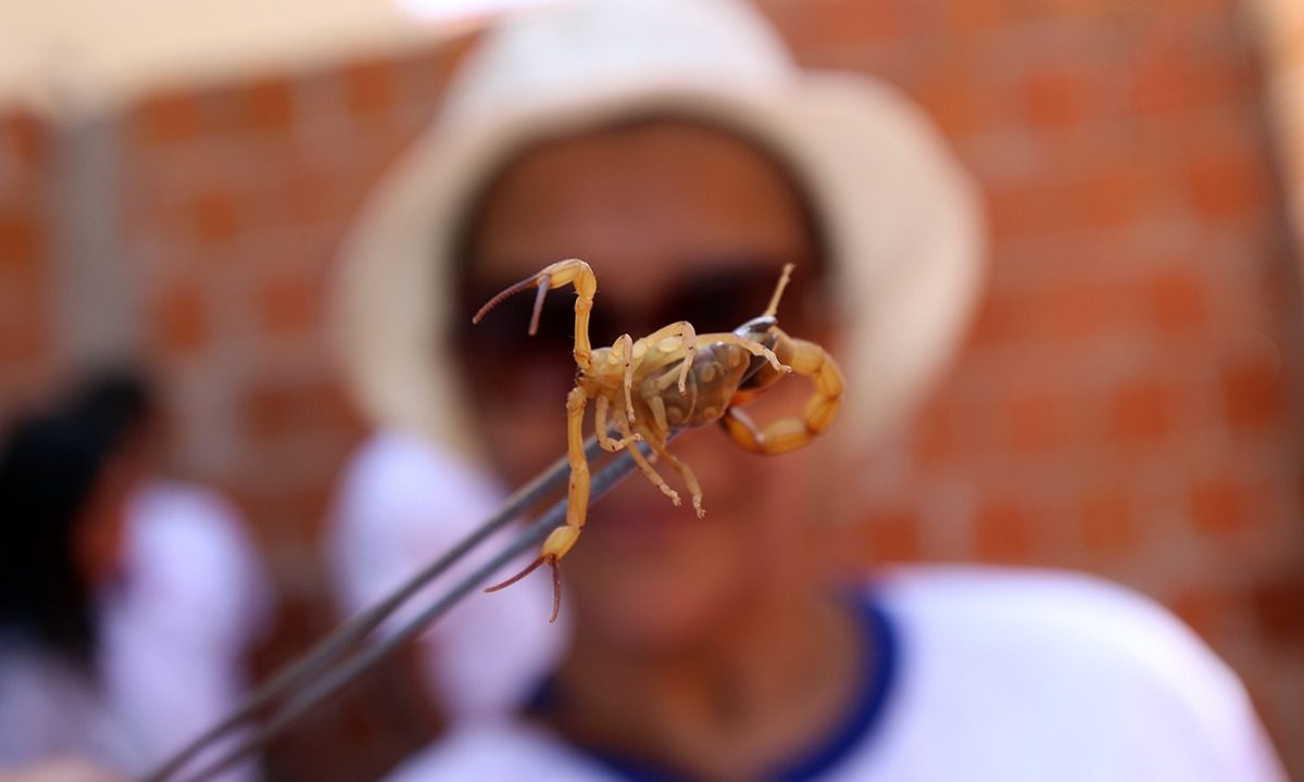 WhatsApp-Image-2022-05-04-at-15.24.40