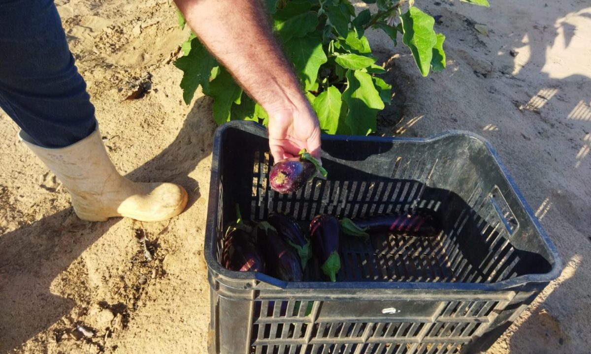 WhatsApp-Image-2022-06-29-at-08.45.12-1536x1152