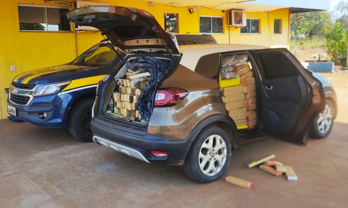 WhatsApp Image 2022-08-22 at 10.51.15