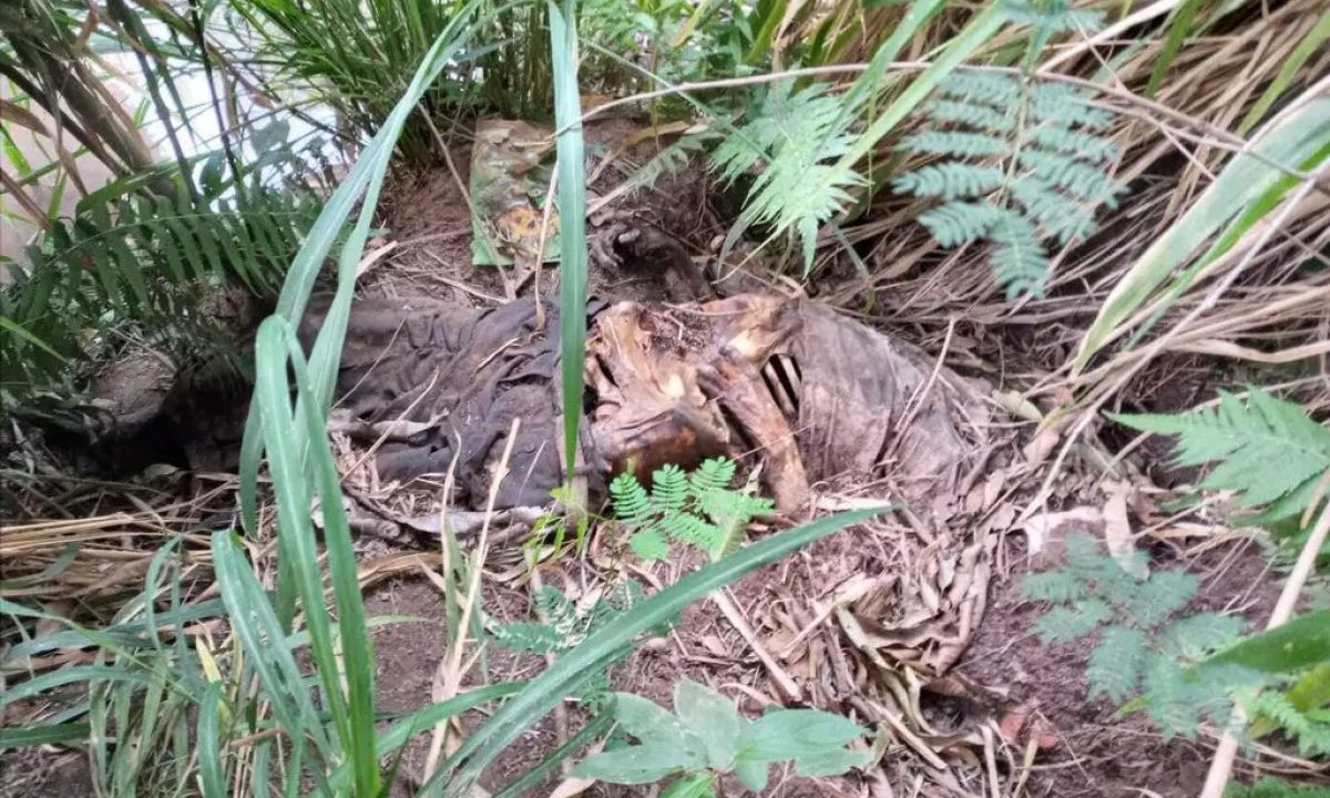 WhatsApp Image 2022-09-01 at 20.33.49