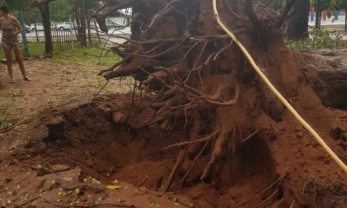 WhatsApp Image 2023-03-06 at 2.15.18 PMt 2