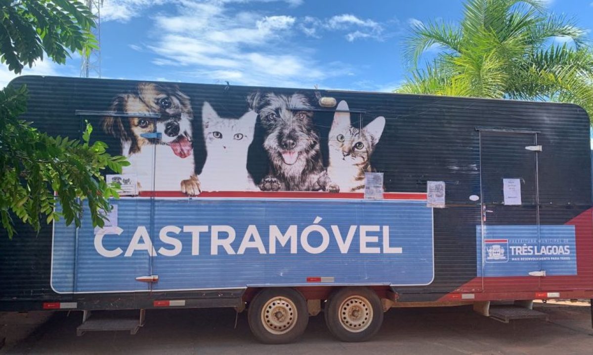 WhatsApp-Image-2023-03-13-at-09.44.15-1-scaled