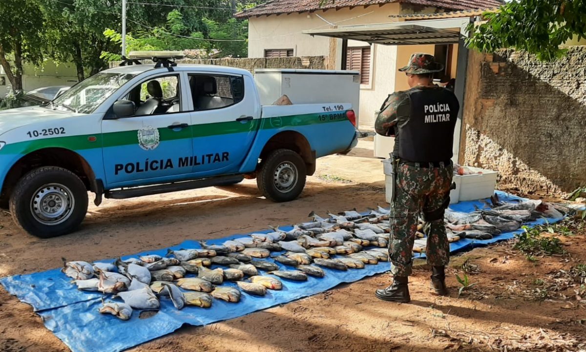 WhatsApp Image 2023-12-19 at 11.25.44 (1)