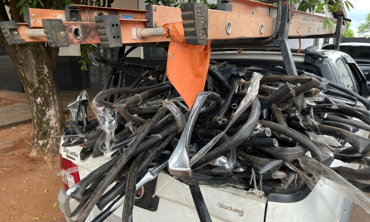 WhatsApp Image 2024-10-21 at 15.17.24