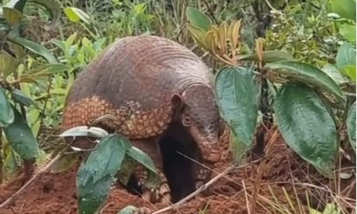 WhatsApp-Image-2024-11-05-at-14.30.47