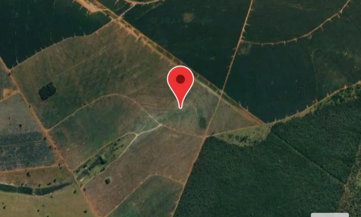 WhatsApp Image 2025-04-04 at 13.53.12 (2)