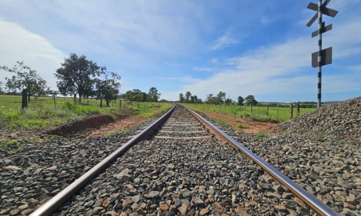 WhatsApp-Image-2025-04-08-at-09.15.26-730x480