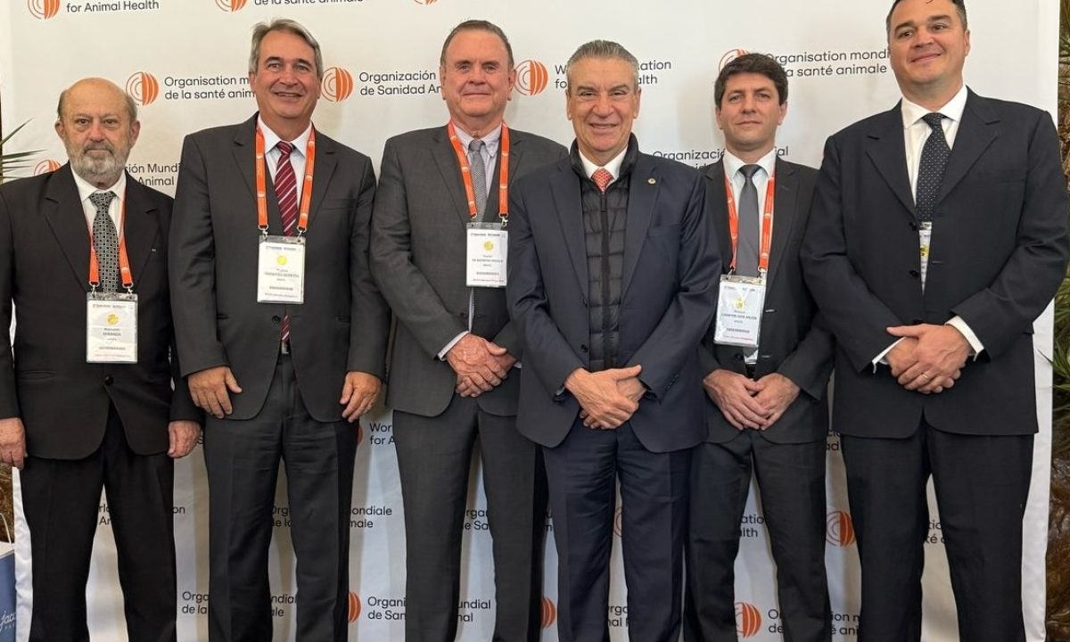 WhatsApp-Image-2025-05-25-at-12.31.20-1-2