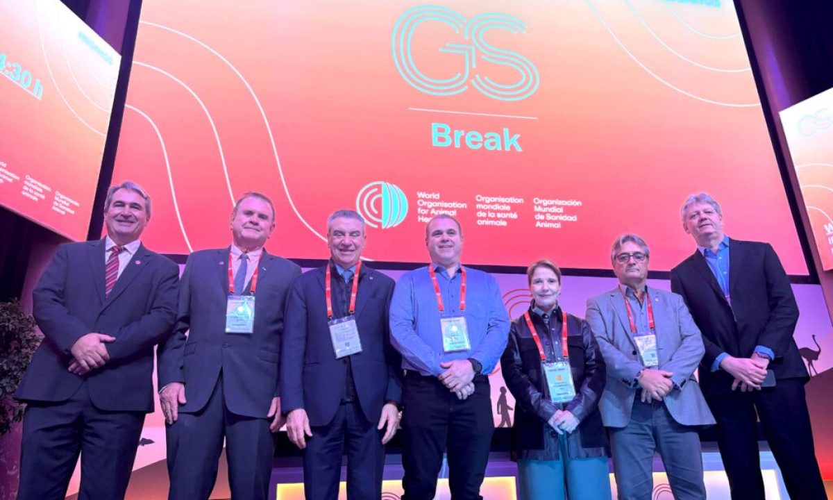 WhatsApp-Image-2025-05-29-at-10.04.30-1-1024x648