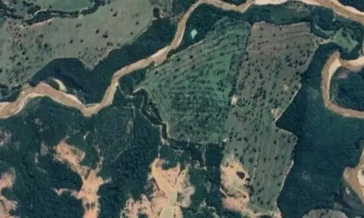 WhatsApp Image 2025-07-11 at 08.39.47